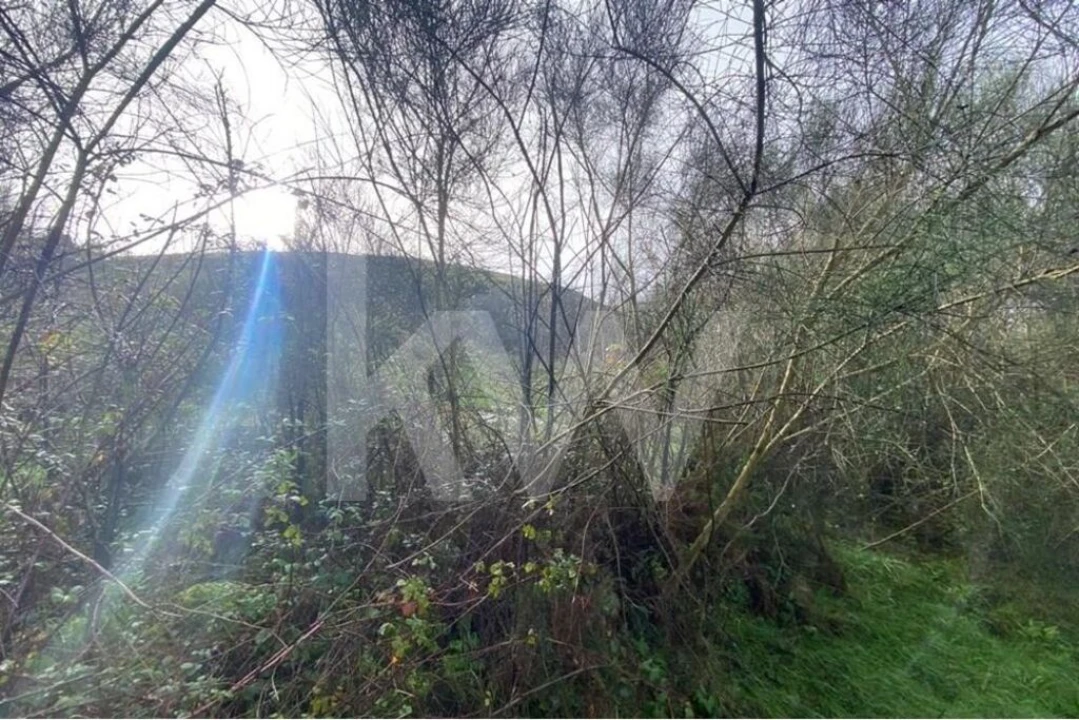 Terreno para Venda em Santo Tirso, Couto (Santa Cristina e São Miguel) e Burgães Foto 6
