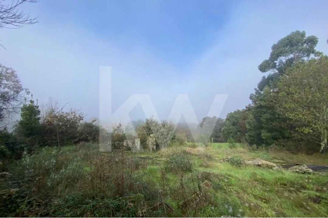 Terreno para Venda em Santo Tirso, Couto (Santa Cristina e São Miguel) e Burgães Foto 5