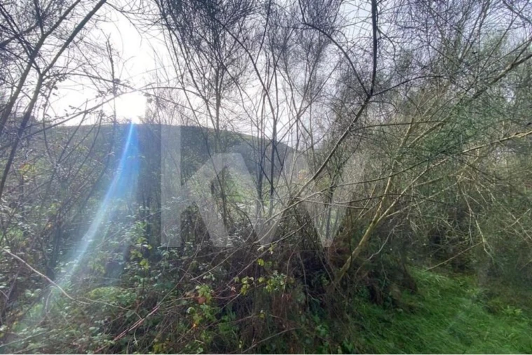 Terreno para Venda em Santo Tirso, Couto (Santa Cristina e São Miguel) e Burgães Foto 13