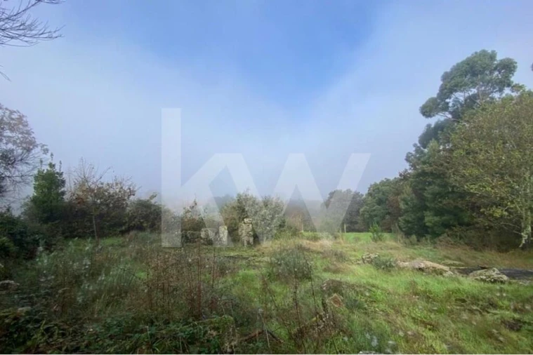 Terreno para Venda em Santo Tirso, Couto (Santa Cristina e São Miguel) e Burgães Foto 12