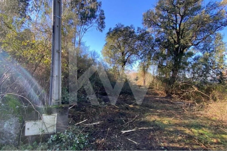Terreno para Venda em Santo Tirso, Couto (Santa Cristina e São Miguel) e Burgães Foto 5