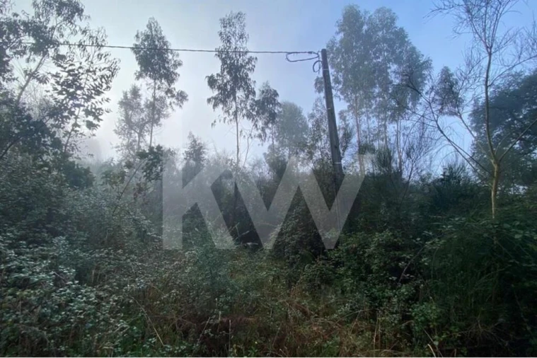 Terreno para Venda em Santo Tirso, Couto (Santa Cristina e São Miguel) e Burgães Foto 18