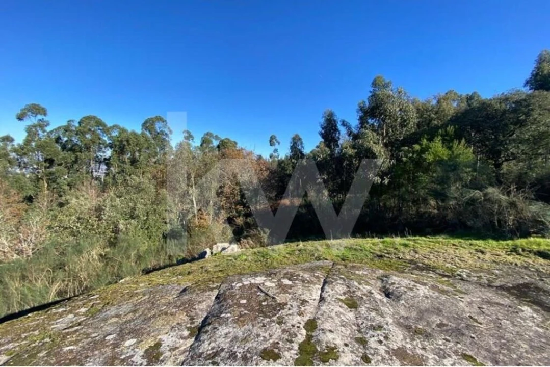 Terreno para Venda em Santo Tirso, Couto (Santa Cristina e São Miguel) e Burgães Foto 7