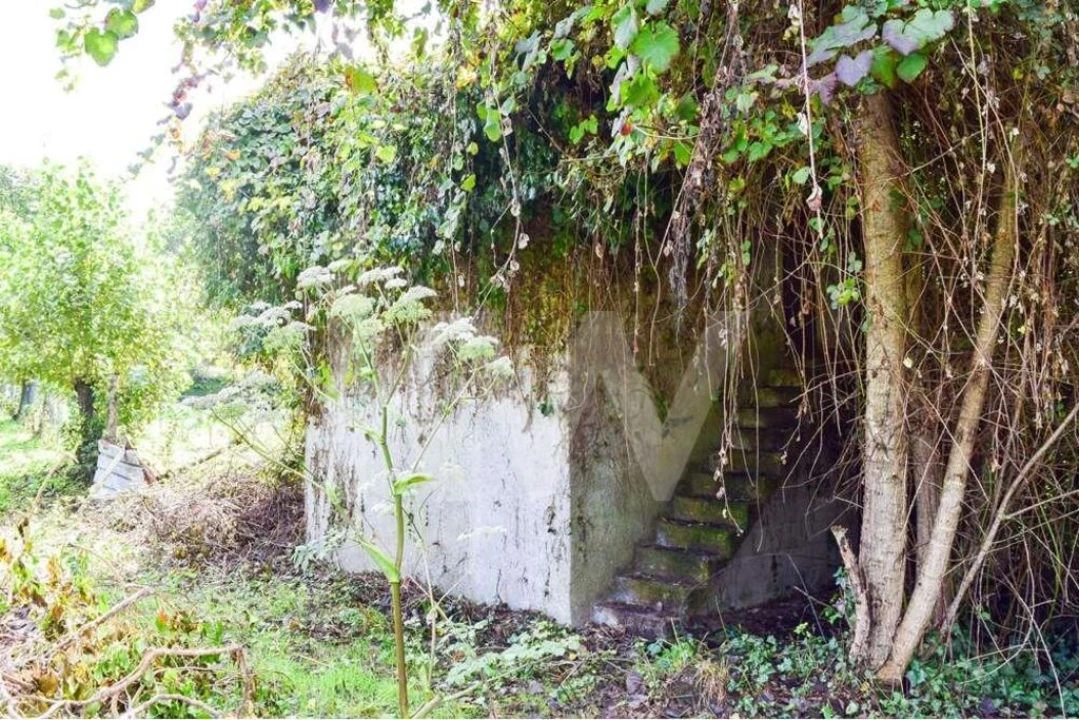 Terreno para Venda em Antime e Silvares (São Clemente) Foto 1
