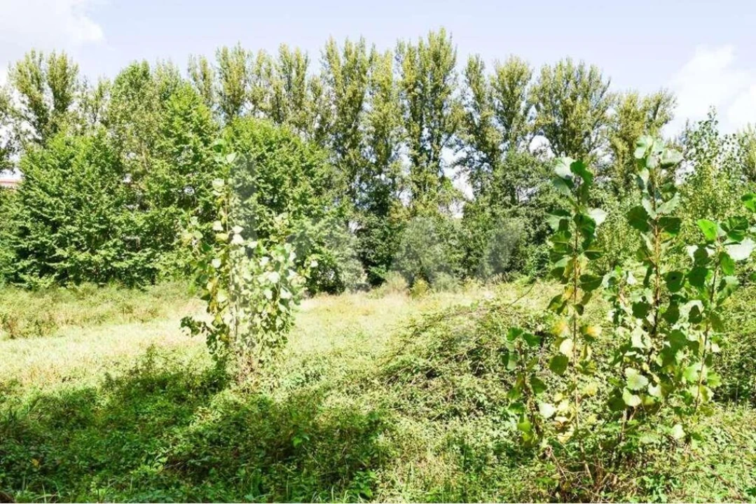 Terreno para Venda em Antime e Silvares (São Clemente) Foto 8