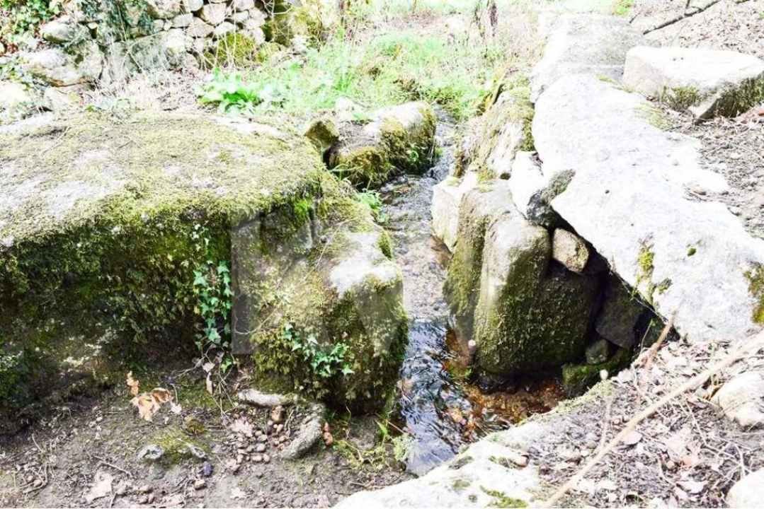 Terreno para Venda em Antime e Silvares (São Clemente) Foto 6