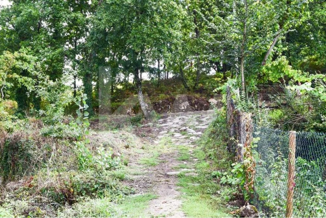 Terreno para Venda em Antime e Silvares (São Clemente) Foto 11