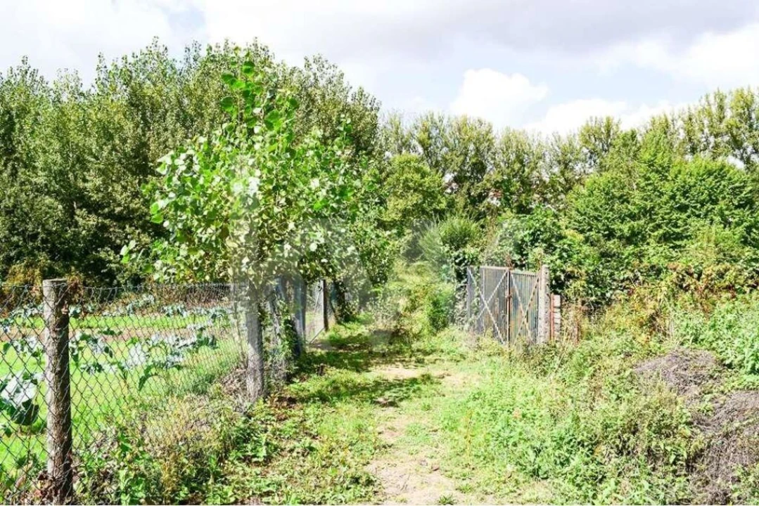 Terreno para Venda em Antime e Silvares (São Clemente) Foto 5