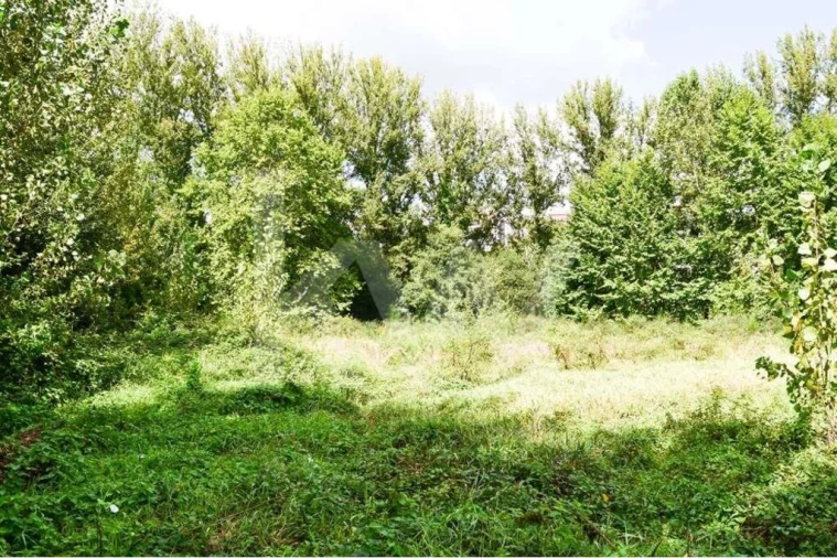 Terreno para Venda em Antime e Silvares (São Clemente) Foto 9