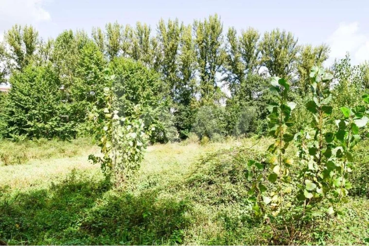Terreno para Venda em Antime e Silvares (São Clemente) Foto 8