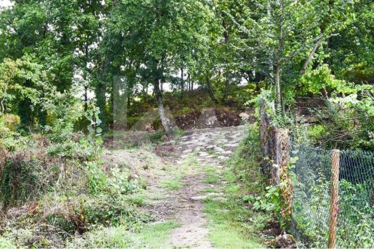 Terreno para Venda em Antime e Silvares (São Clemente) Foto 11