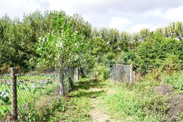 Terreno para Venda em Antime e Silvares (São Clemente) Foto 5