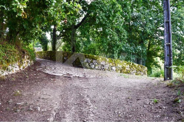Terreno para Venda em Antime e Silvares (São Clemente) Foto 12