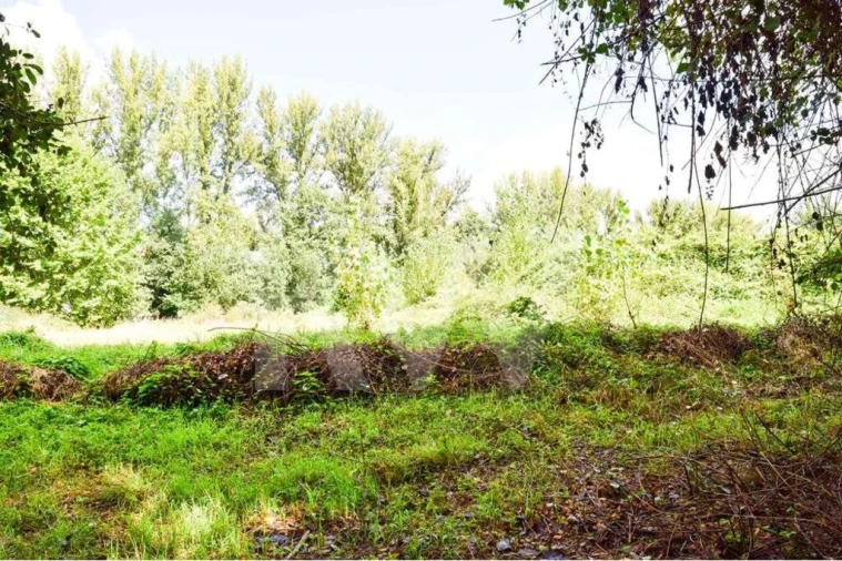 Terreno para Venda em Antime e Silvares (São Clemente) Foto 7