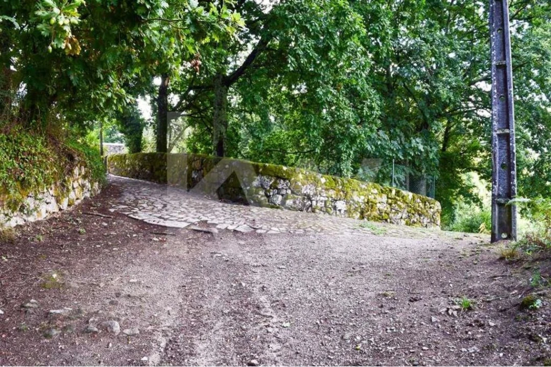 Terreno para Venda em Antime e Silvares (São Clemente) Foto 12