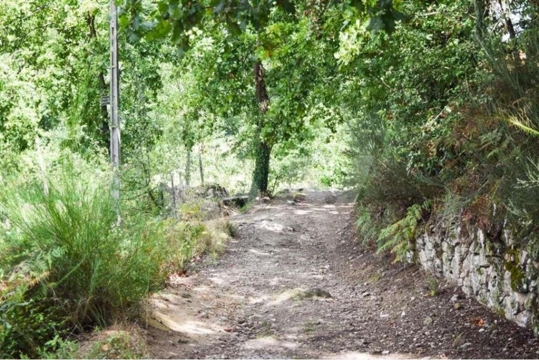 Terreno para Venda em Antime e Silvares (São Clemente) Foto 4