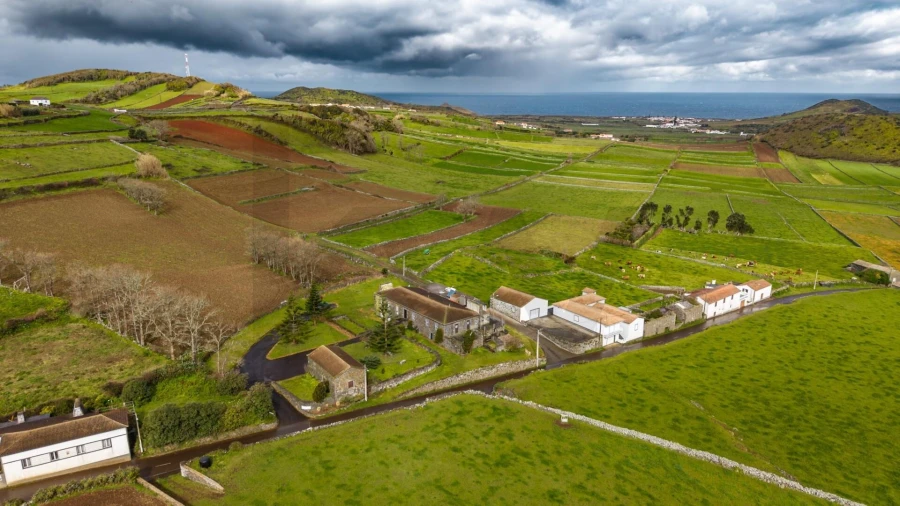 Prédio para Venda em Guadalupe Foto 5