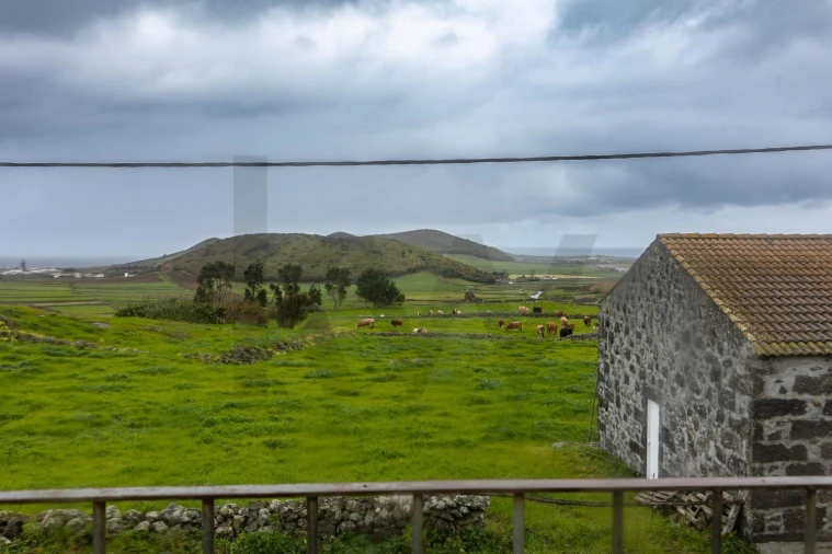 Prédio para Venda em Guadalupe Foto 28
