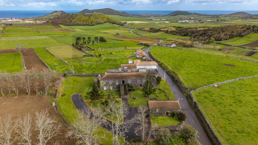 Prédio para Venda em Guadalupe Foto 8