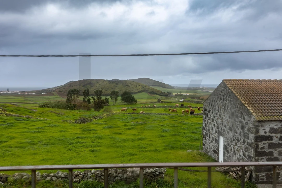Prédio para Venda em Guadalupe Foto 28