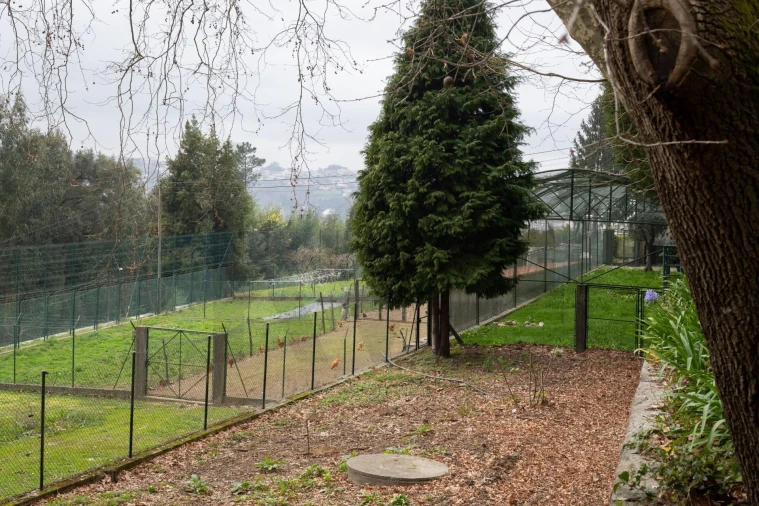 Quinta T4 para Venda em O. Azeméis, Riba-Ul, Ul, Macinhata Seixa, Madail Foto 39