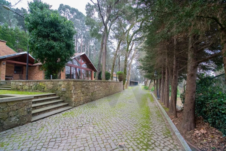 Quinta T4 para Venda em O. Azeméis, Riba-Ul, Ul, Macinhata Seixa, Madail Foto 70