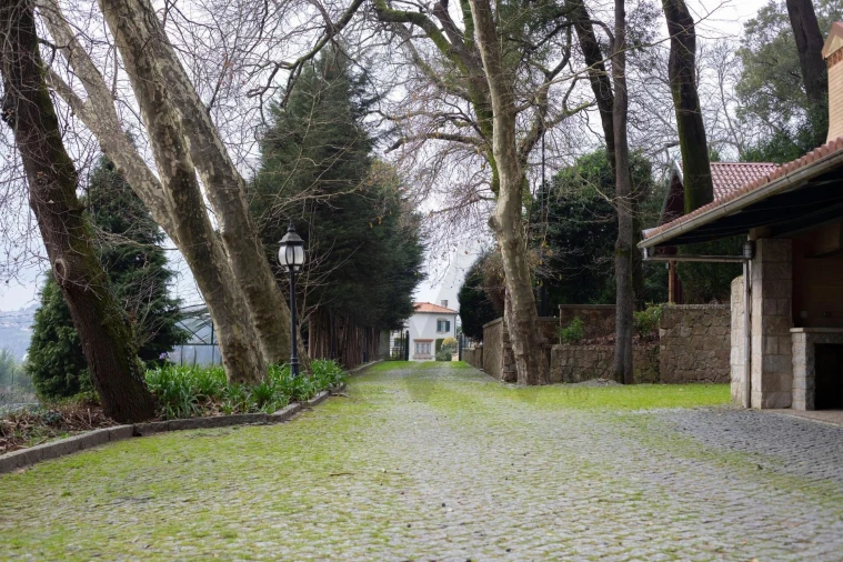 Quinta T4 para Venda em O. Azeméis, Riba-Ul, Ul, Macinhata Seixa, Madail Foto 38