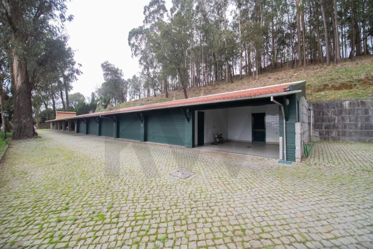 Quinta T4 para Venda em O. Azeméis, Riba-Ul, Ul, Macinhata Seixa, Madail Foto 36