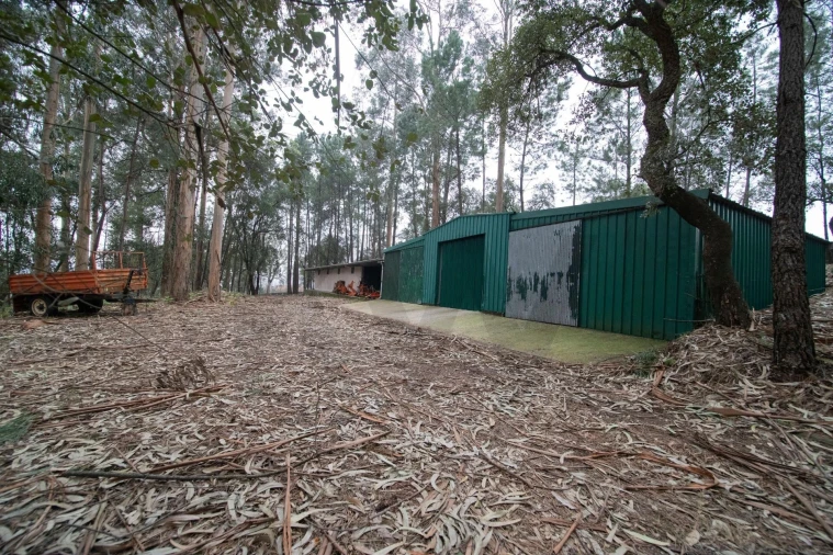 Quinta T4 para Venda em O. Azeméis, Riba-Ul, Ul, Macinhata Seixa, Madail Foto 71