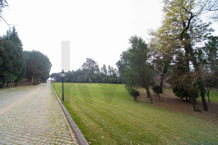 Quinta T4 para Venda em O. Azeméis, Riba-Ul, Ul, Macinhata Seixa, Madail Foto 35