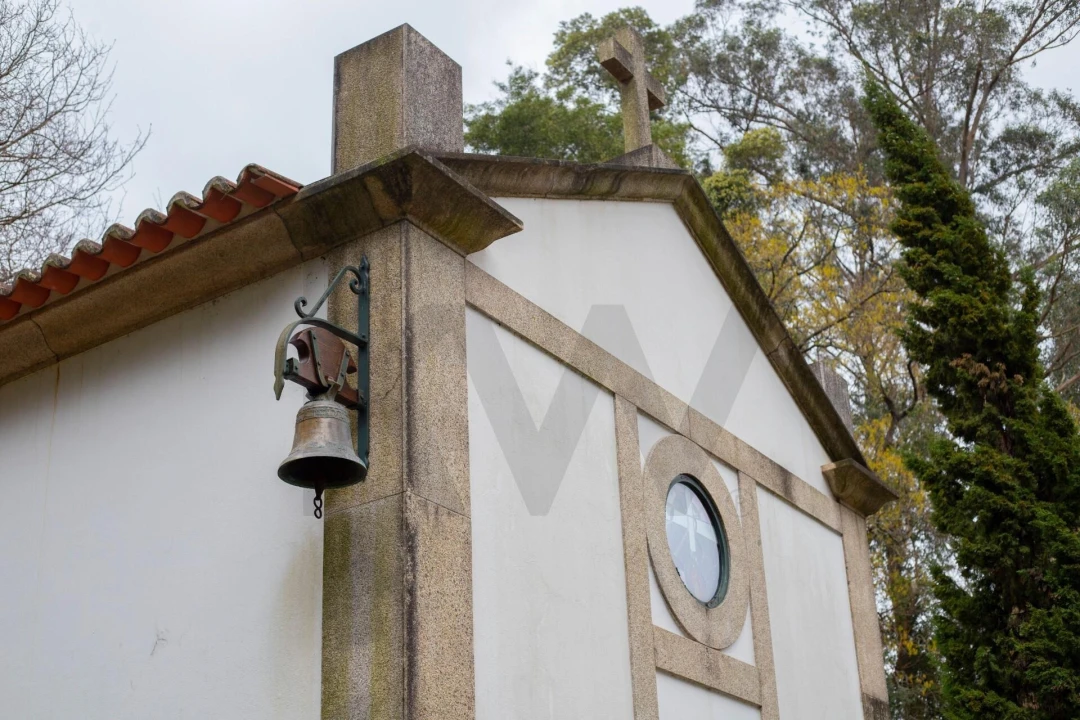 Quinta T4 para Venda em O. Azeméis, Riba-Ul, Ul, Macinhata Seixa, Madail Foto 29