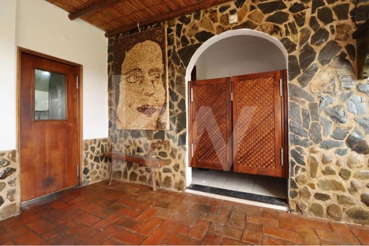 Prédio para Venda em Querença, Tôr e Benafim Foto 12