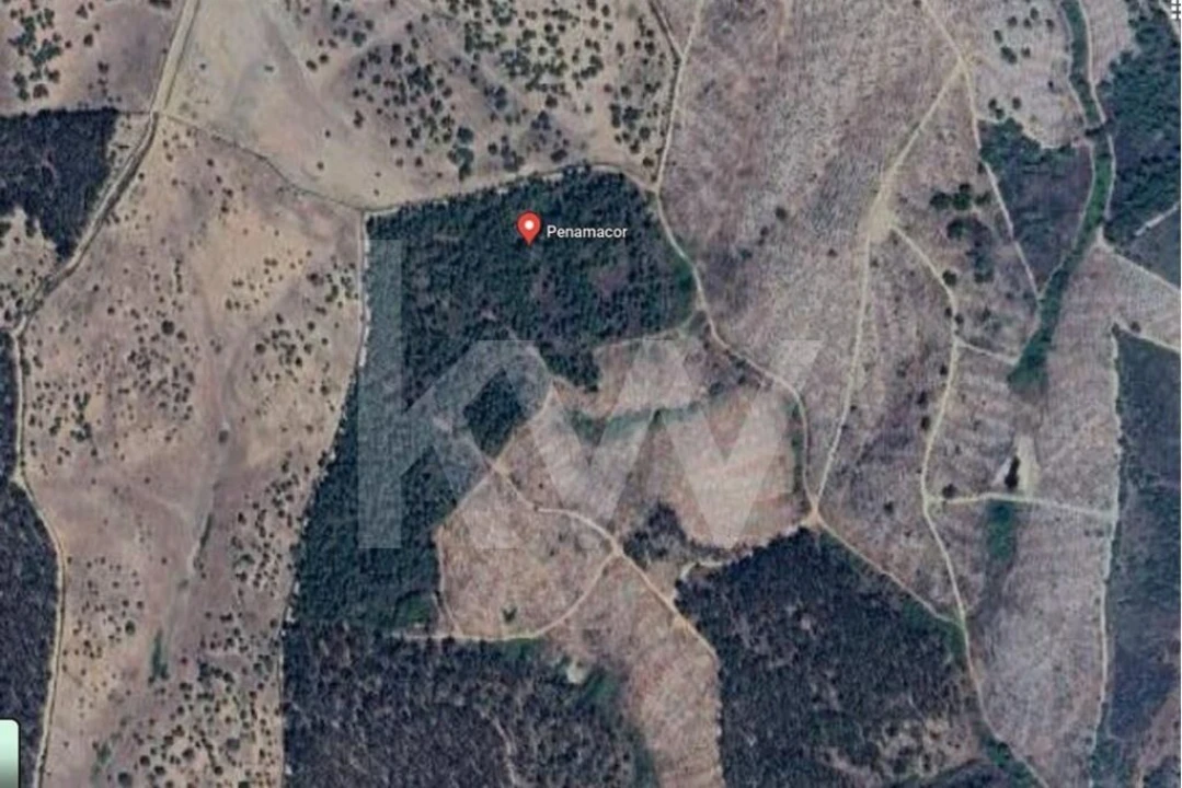 Terreno para Venda em Penamacor Foto 12