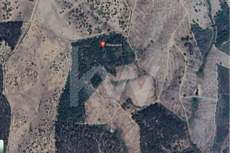 Terreno para Venda em Penamacor Foto 12