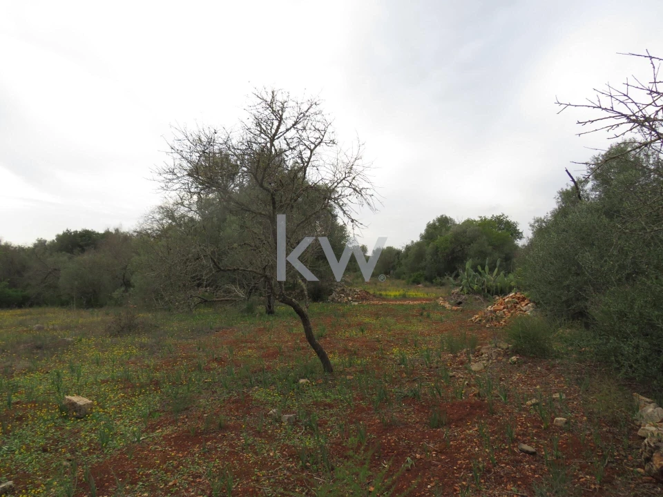 Moradia T1 para Venda em Alcantarilha e Pêra Foto 10