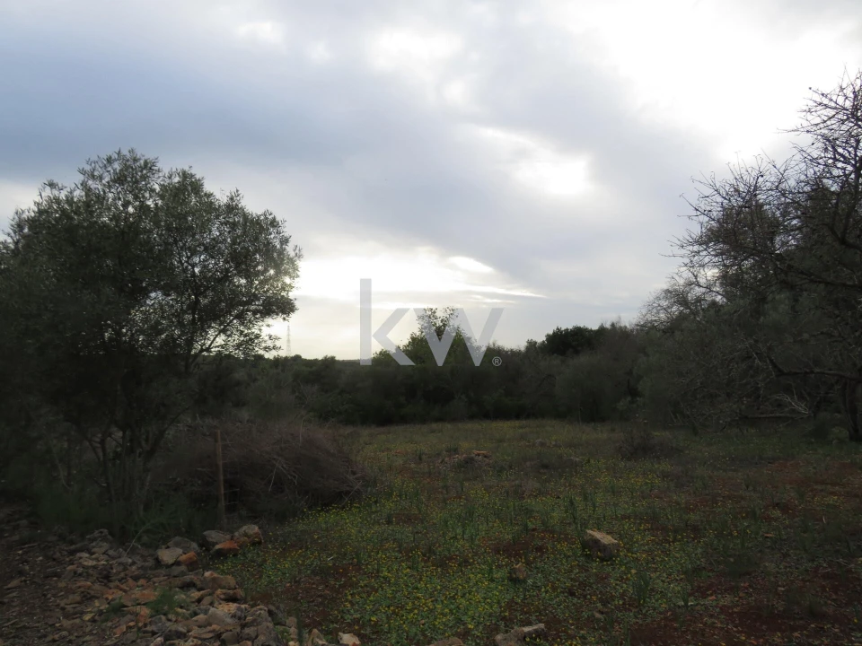 Moradia T1 para Venda em Alcantarilha e Pêra Foto 11