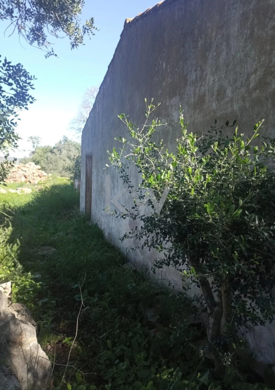 Moradia T1 para Venda em Alcantarilha e Pêra Foto 23