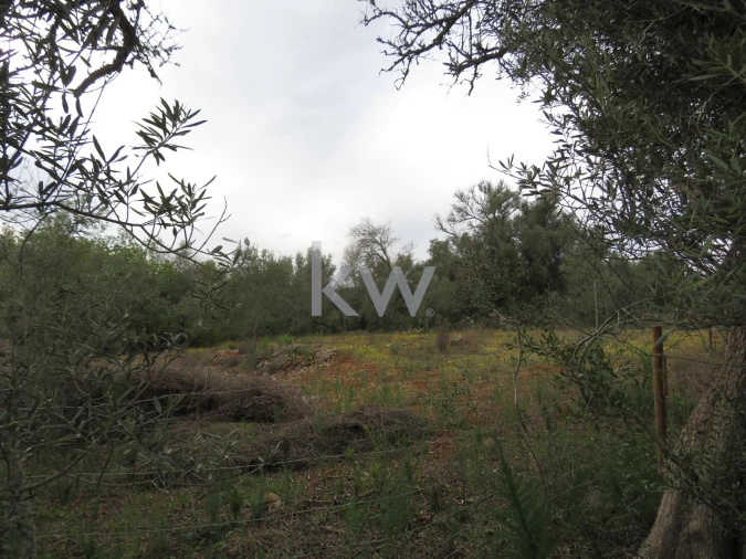 Moradia T1 para Venda em Alcantarilha e Pêra Foto 12