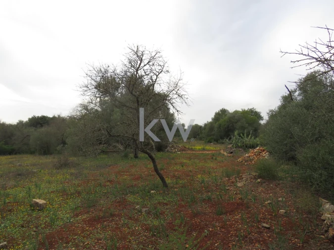 Moradia T1 para Venda em Alcantarilha e Pêra Foto 10