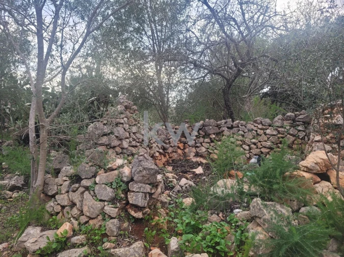 Moradia T1 para Venda em Alcantarilha e Pêra Foto 16