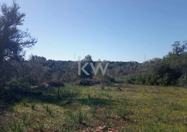 Moradia T1 para Venda em Alcantarilha e Pêra Foto 20