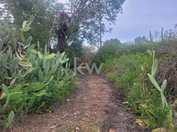 Moradia T1 para Venda em Alcantarilha e Pêra Foto 14