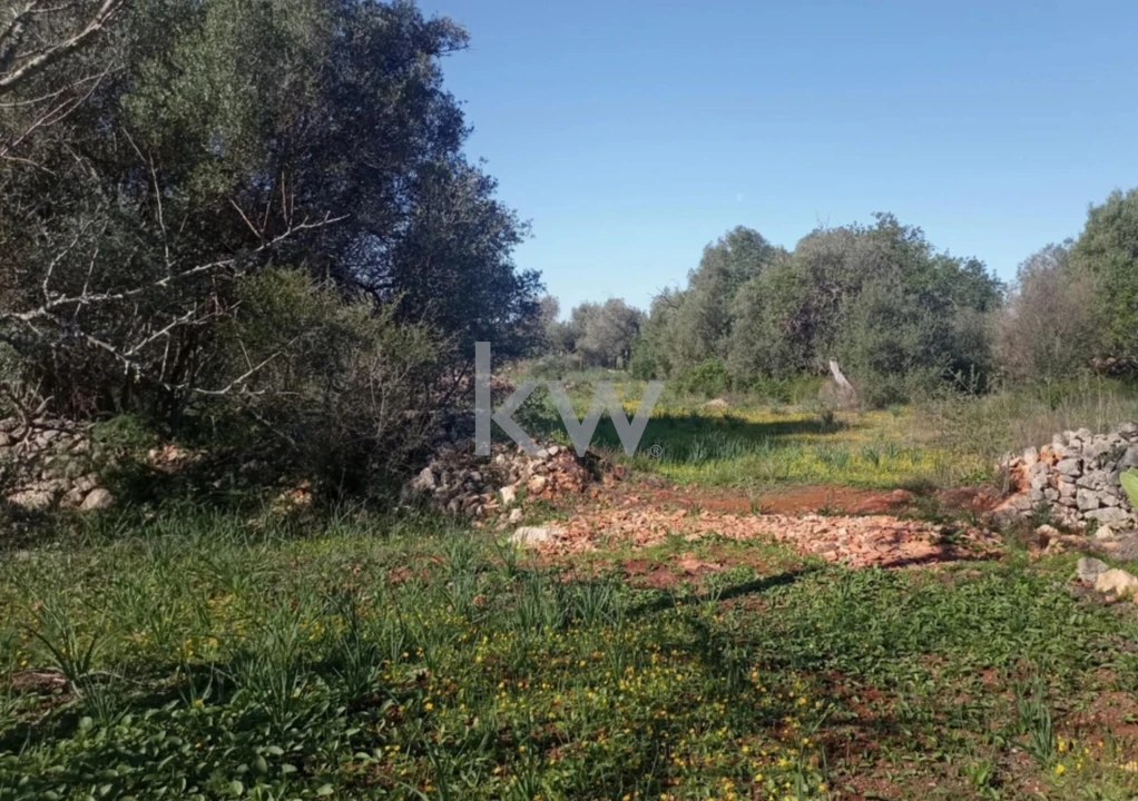 Moradia T1 para Venda em Alcantarilha e Pêra Foto 22