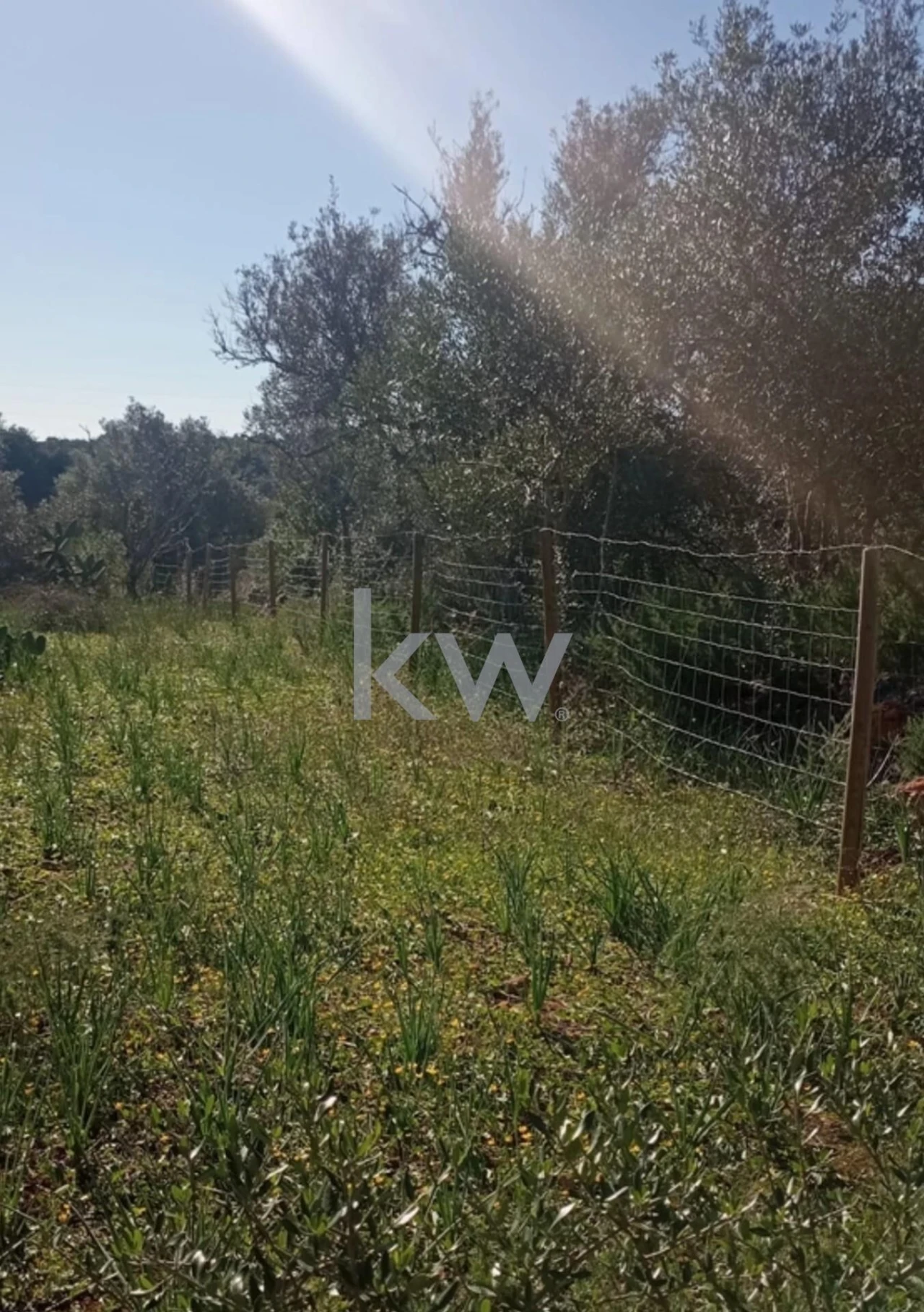 Moradia T1 para Venda em Alcantarilha e Pêra Foto 19