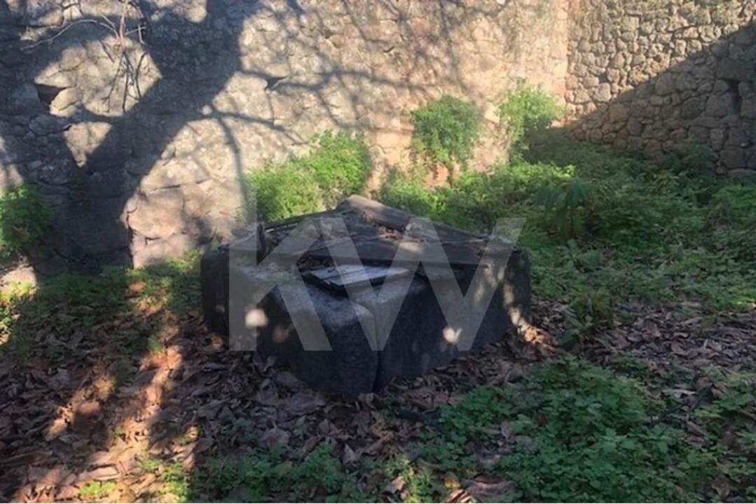 Moradia T12 para Venda em Idanha-A-Nova e Alcafozes Foto 9