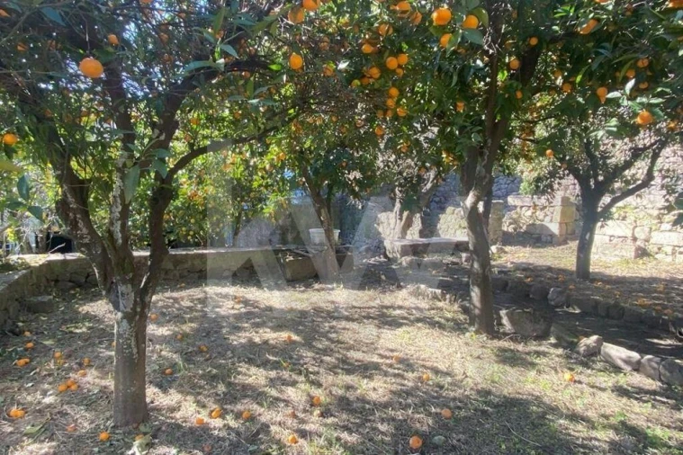 Moradia T12 para Venda em Idanha-A-Nova e Alcafozes Foto 18