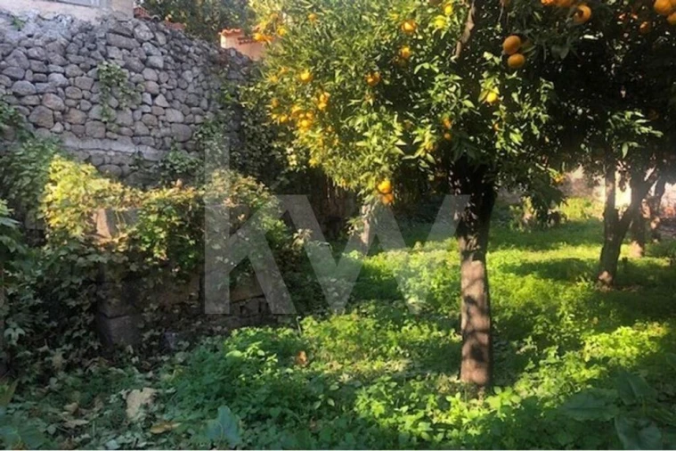 Moradia T12 para Venda em Idanha-A-Nova e Alcafozes Foto 8