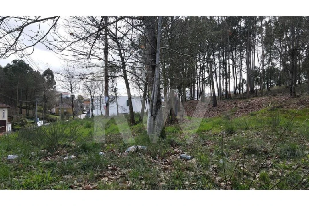 Terreno para Venda em Lobão, Gião, Louredo e Guisande Foto 25