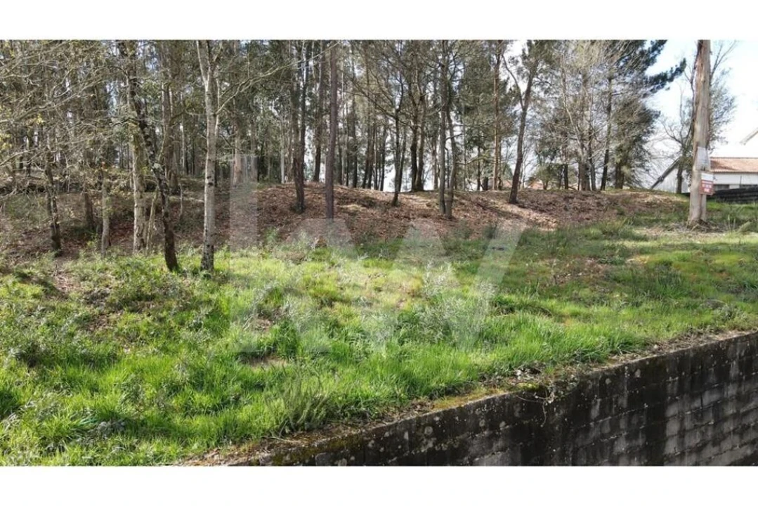 Terreno para Venda em Lobão, Gião, Louredo e Guisande Foto 28