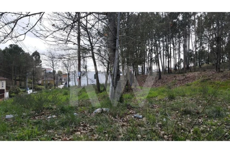 Terreno para Venda em Lobão, Gião, Louredo e Guisande Foto 25